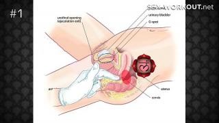 Как заставить женщину кричать от оргазма